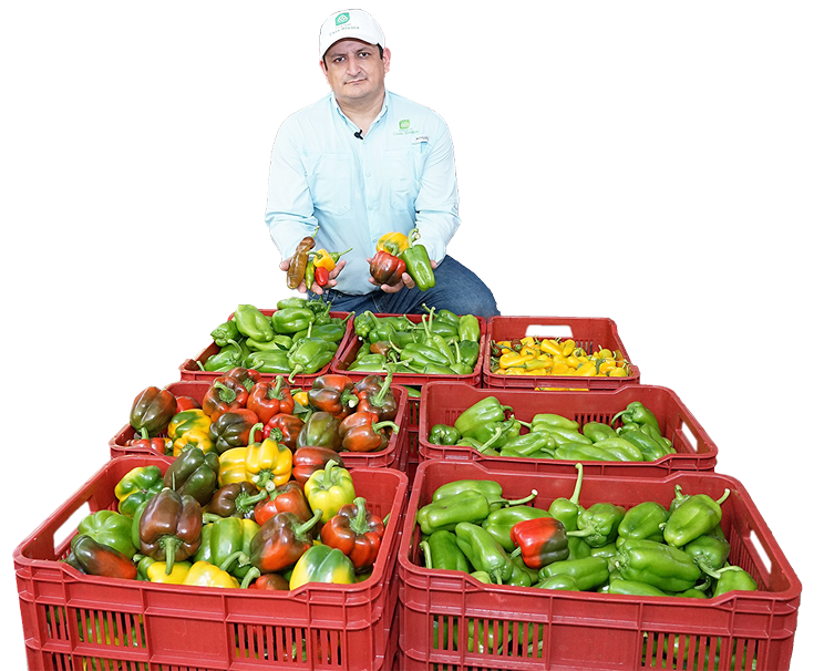 walmart-image